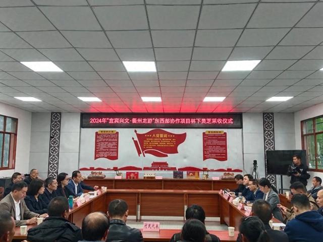 灵芝撑起“共富伞”东西协作先进仪器谱新篇