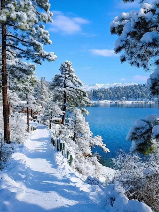 哈尔滨当地旅游团纯玩报价 去哈尔滨旅游怎么报团 中央大街